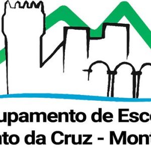 logo_topo24