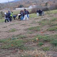 IMG-20251126-WA0006_Sara Saldanha