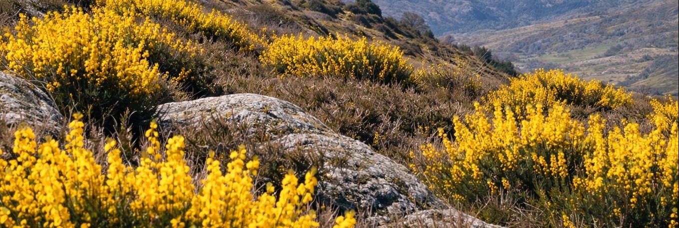 Agenda Mensal –  Março 2026