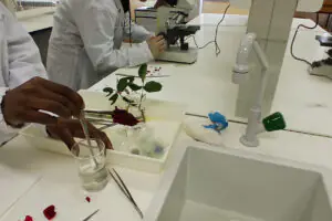 20260421_171433_Maria Martins