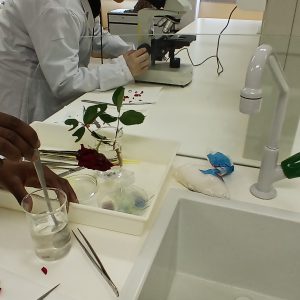 20260421_171433_Maria Martins