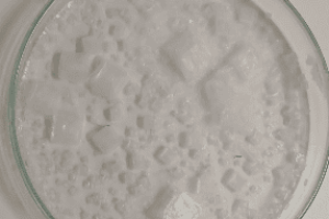 Captura 16_Maria Martins