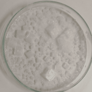 Captura 16_Maria Martins