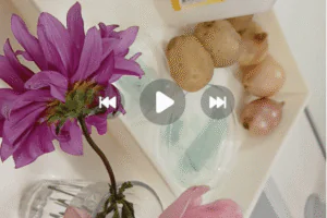 Captura 32_Maria Martins