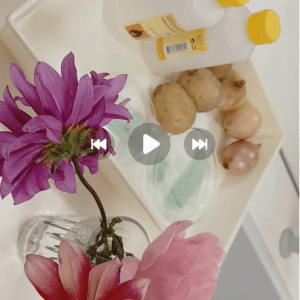 Captura 32_Maria Martins